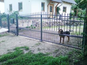 Eisernes Tor mit Hund im Garten.